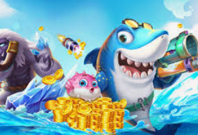 kiayun入口2024最新版